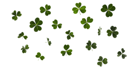 Floating four leaf clovers in a transparent space, cut out