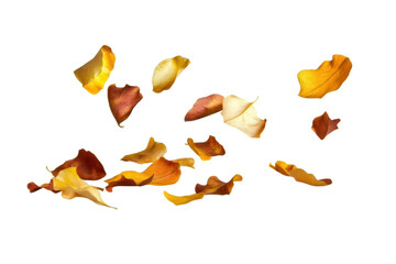 Naklejka premium Colorful autumn leaves floating in the air, cut out