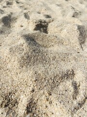 Natural sea sand texture, sea sand background