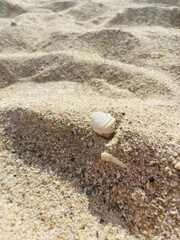 Natural sea sand texture, sea sand background