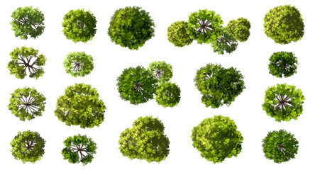 Vector set of Top view green tree for outdoor plan or map and architecture drawing, elements for environment and garden ,botanical elements ,Blooming flowers in spring,tropical plants element © Chanya_B