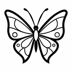 butterfly vector illustration