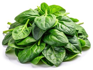 Obraz premium Vibrant green spinach, leafy vegetable, top-down food photography. High-resolution PNG.