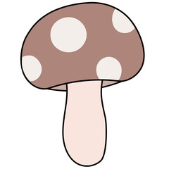 Mushroom 
