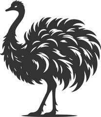 Ostrich standing with ruffled feathers animal vector silhouette