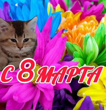8 марта 