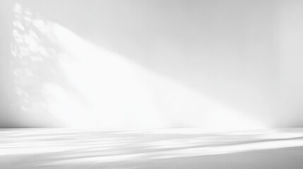 Fototapeta premium Minimalist Background with Soft Light and Shadow in a Bright White Space for Photography Use