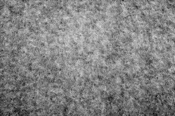 Fototapeta premium PNG Green grass texture background green field lush.