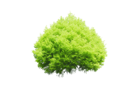 Bright green clover watercolor illustration design, cut out