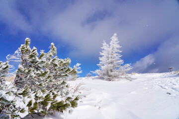 白銀の世界に広がる幻想的な冬景色