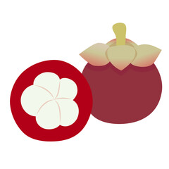 マンゴスチン　実の外見　実の断面　ベクターのアイコンイラスト