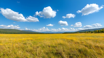 Golden autumn meadow under blue sky, mountains background. Nature landscape, travel photography