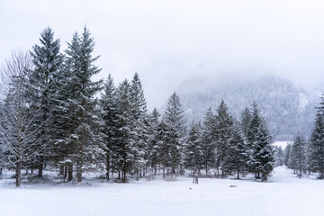 Winter im Berchtesgadener Land (Bayern, Deutschland). Verschneite Bäume und Gipfel im Klausbachtal nahe Ramsau und dem Hintersee.
