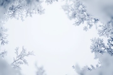 Obraz premium Blank winter landscape framed by frosted branches under a gentle snowfall