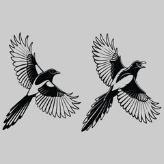 a magpie with wings spread silhouette vector design art and illustration