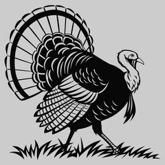 a turkey fanning its tail silhouette vector design art and illustration