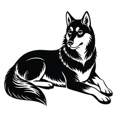Siberian Husky Silhouette Vector.  Siberian Husky Dog Laying Down Silhouette isolated on a white background.
