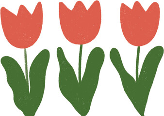 A simple hand-drawn tulip flower illustration with three red tulips and green leaves. Perfect for spring designs.