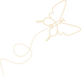 Butterfly with Dotted Line