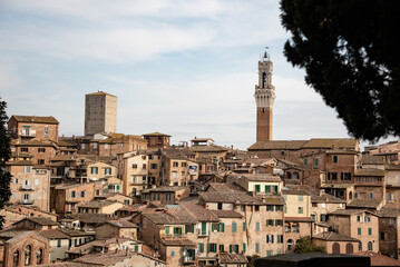 Fototapeta premium The beautiful Siena in Tuscany, Italy