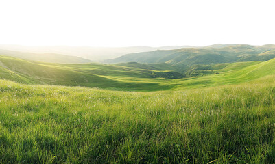 Obraz premium Scenic green meadow with rolling hills under sunlight, isolated on transparent cutout background