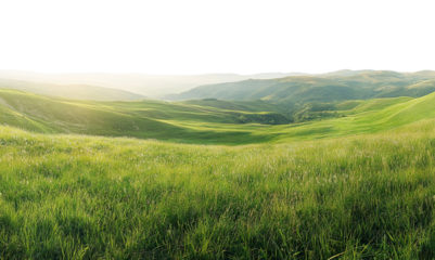 Scenic green meadow with rolling hills under sunlight, isolated on transparent cutout background