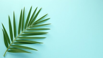 Serene Tropical Frond on a Light Blue Background, Perfect for Relaxation and Wellness Designs
