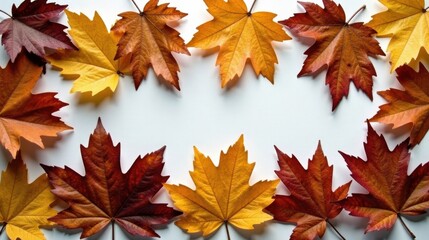 Fototapeta premium Autumnal Foliage Arranged in a Decorative Frame Featuring Vibrant Hues of Red, Orange, and Yellow