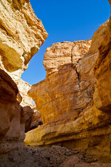 Oasi e canyon di Tamaghza, regione di Tezeur