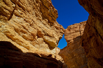 Oasi e canyon di Tamaghza, regione di Tezeur