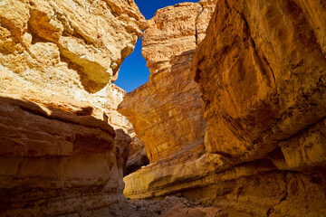 Oasi e canyon di Tamaghza, regione di Tezeur