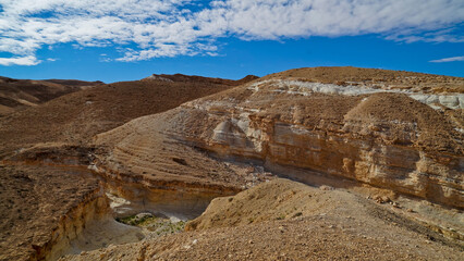 Oasi e canyon di Tamaghza, regione di Tezeur