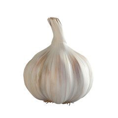 Single bulb of garlic on black background fresh healthy food ingredient cooking recipe