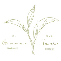 Hand-Drawn Green Tea Skincare Logo Organic Beauty Branding