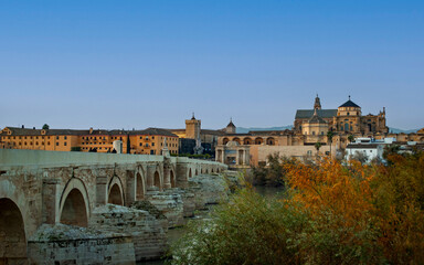 Fototapeta premium the Roman bridge of Cordoba with the mosque in the background