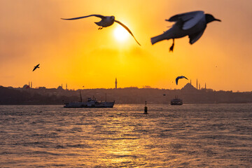 New Maiden's Tower and Classical Istanbul Bosphorus Drone Photo, Uskudar Istanbul, Turkiye (Turkey)