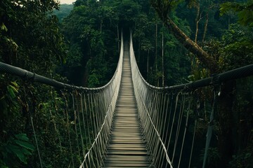 Obraz premium Wooden Rope Bridge into Lush Rainforest Dark Moody Atmosphere