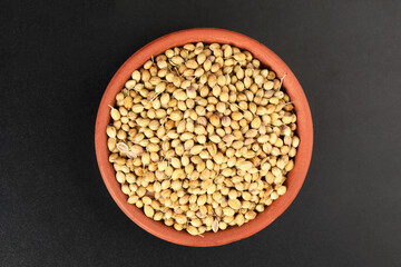 coriander seed in clay bowl isolated on white background. Seasoning or spice top view
