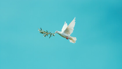 Obraz premium A majestic white dove gracefully flying against a clear blue sky, carrying an olive branch in its beak
