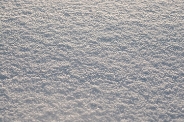 gray background, snow texture in the photo