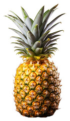 PNG Pineapple fruit plant food.