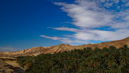 Oasi e canyon di Tamaghza, regione di Tezeur