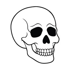 Obraz premium human skull vector illustration