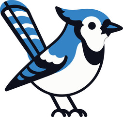 A simple Blue Jay with white background