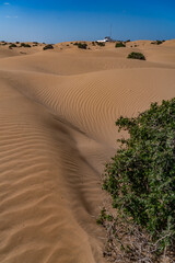 The sand dunes near Essaouira Morocco Africa 