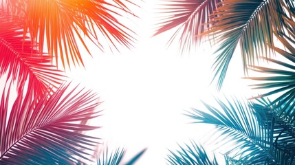 Fototapeta premium Colorful palm leaves framing a bright white background