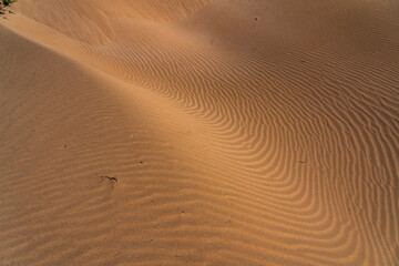 The sand dunes near Essaouira Morocco Africa 