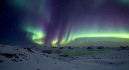 Aurora Borealis Over Snowy Landscape and Lake Under Starry Night Sky