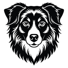 Australian Shepherd Silhouette. Australian Shepherd head Vector Silhouette isolated on a white background. Australian shepherd dog vector silhouette art illustration.