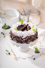 Sweet blueberry cake with berries and whipped cream.